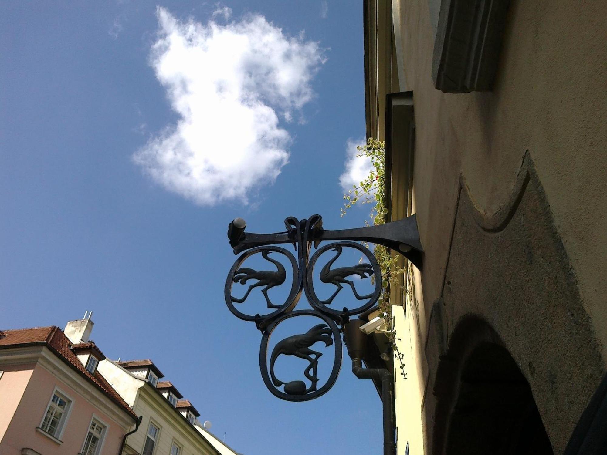Hotel U 3 Pstrosu Praha Bagian luar foto